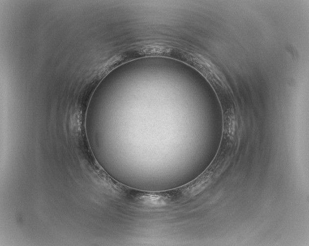 X0000116310326200911301508