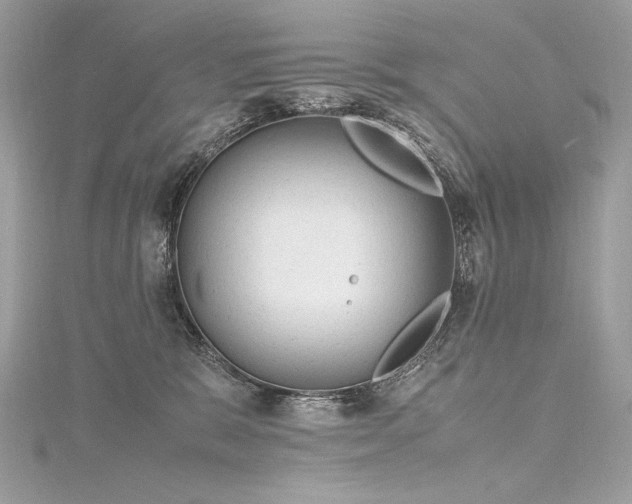 X0000116310327200911301508