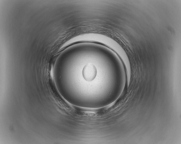 X0000116310328200911301508