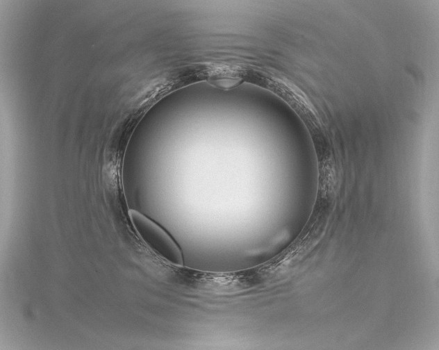 X0000116310329200911301508