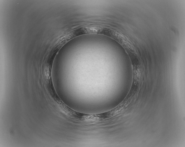 X0000116310331200911301508