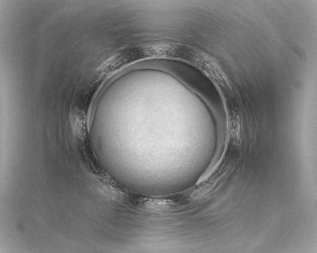 X0000116310332200911301508