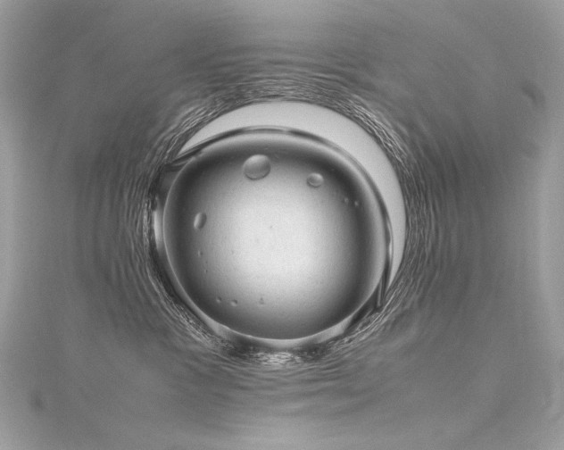 X0000116310333200911301508