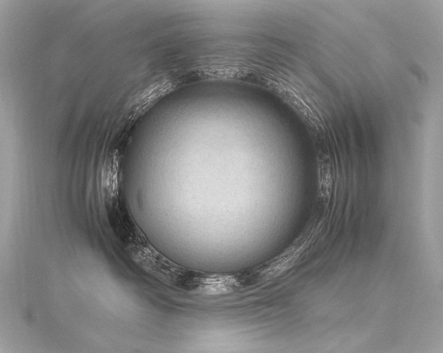 X0000116310334200911301508