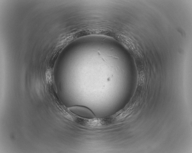 X0000116310335200911301508