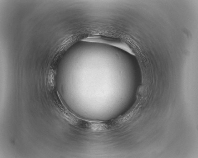 X0000116310336200911301508