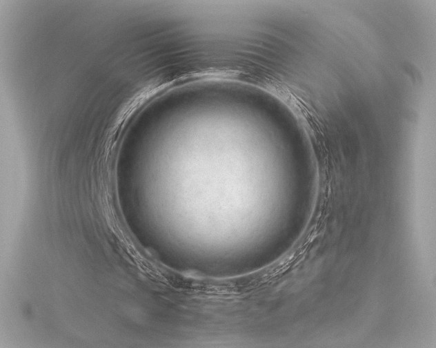 X0000116310337200911301507