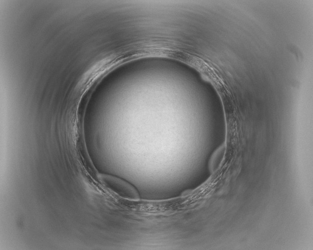 X0000116310338200911301507