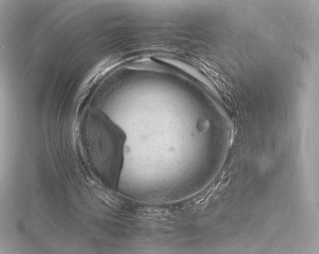 X0000116310339200911301507