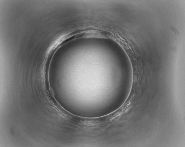 X0000116310341200911301507