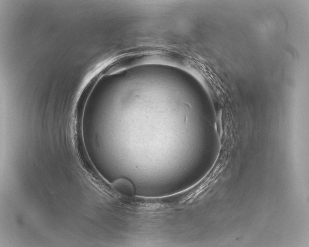 X0000116310342200911301507