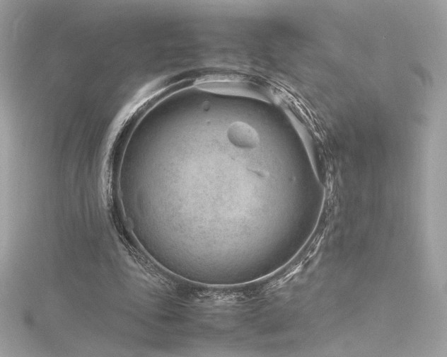 X0000116310343200911301507