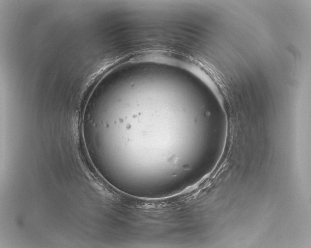 X0000116310345200911301507