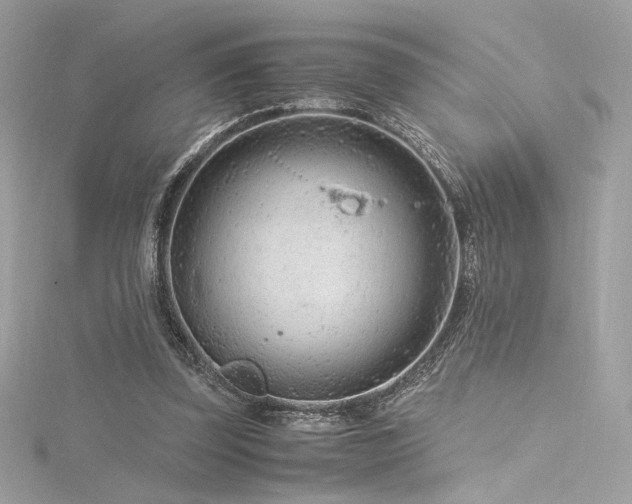 X0000116310347200911301507