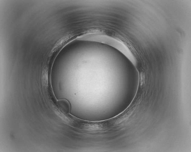 X0000116310349200911301507