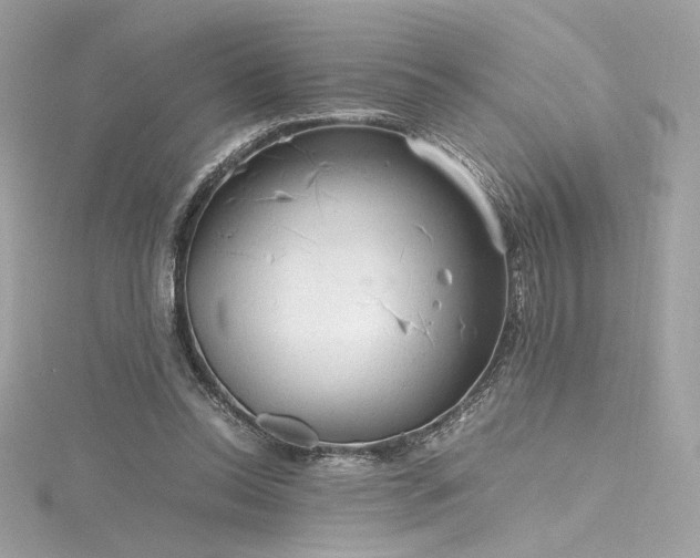 X0000116310350200911301507