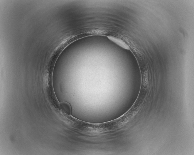 X0000116310351200911301507