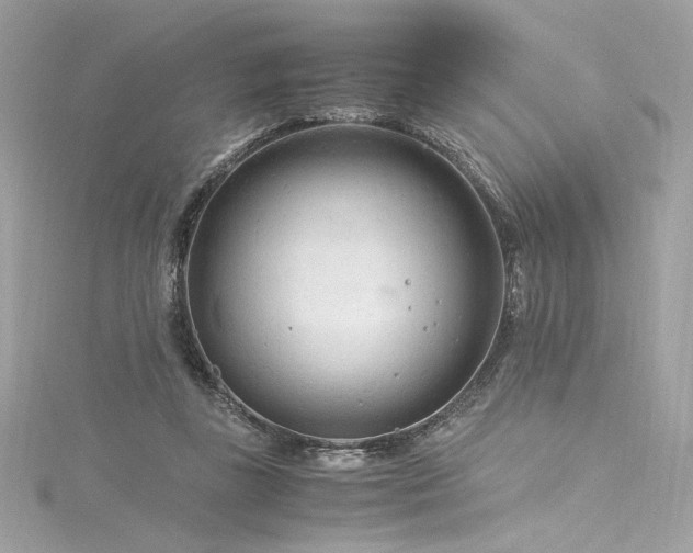 X0000116310355200911301507