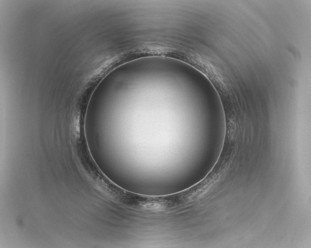 X0000116310358200911301508