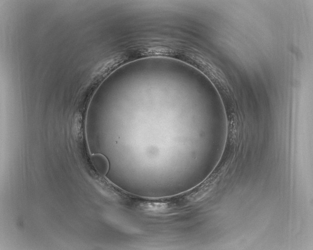 X0000116310361200911301508