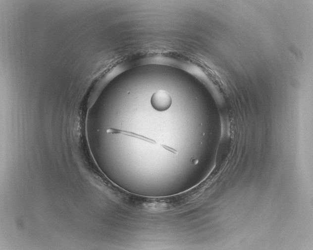 X0000116310362200911301508