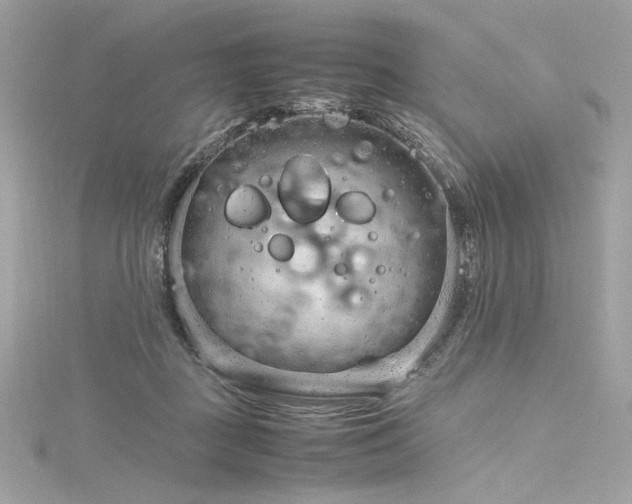 X0000116310363200911301508