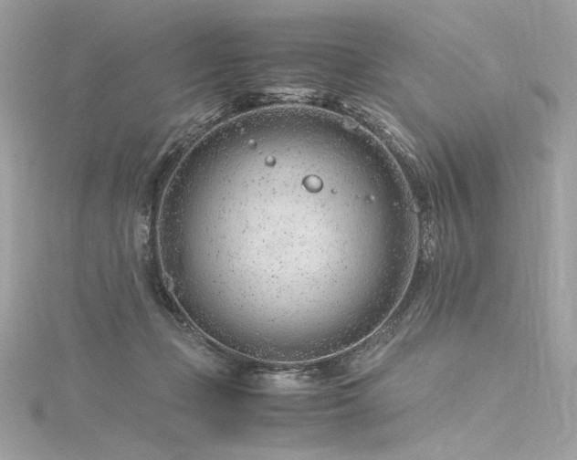 X0000116310365200911301508