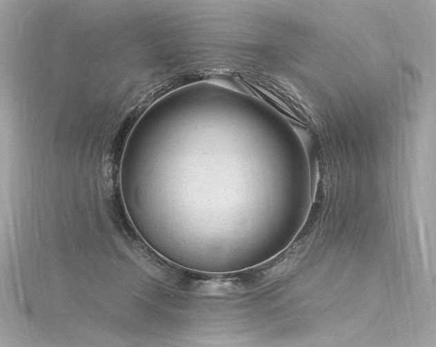 X0000116310366200911301508