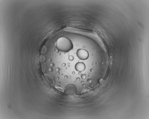 X0000116310367200911301508