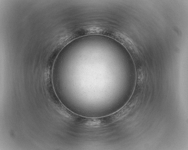 X0000116310369200911301508