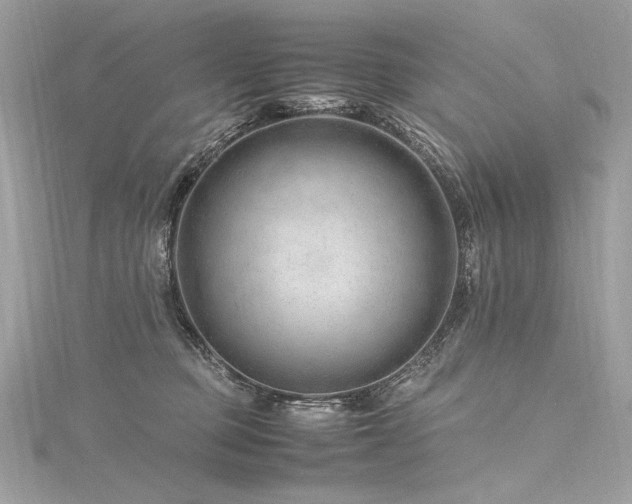 X0000116310373200911301508