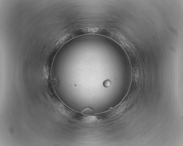 X0000116310374200911301508