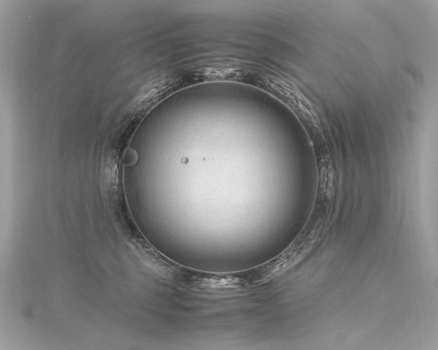 X0000116310375200911301508