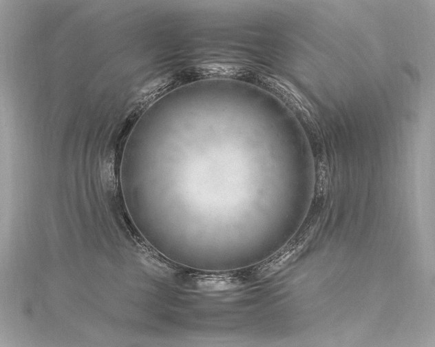 X0000116310377200911301508