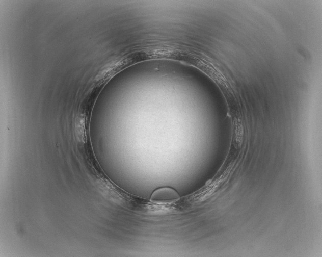 X0000116310378200911301508