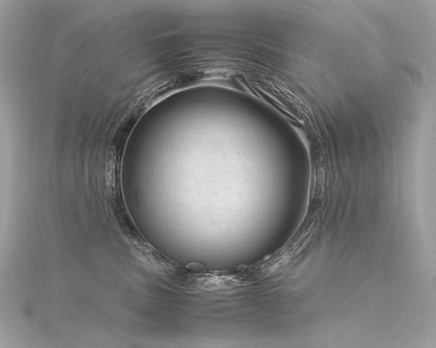 X0000116310379200911301508