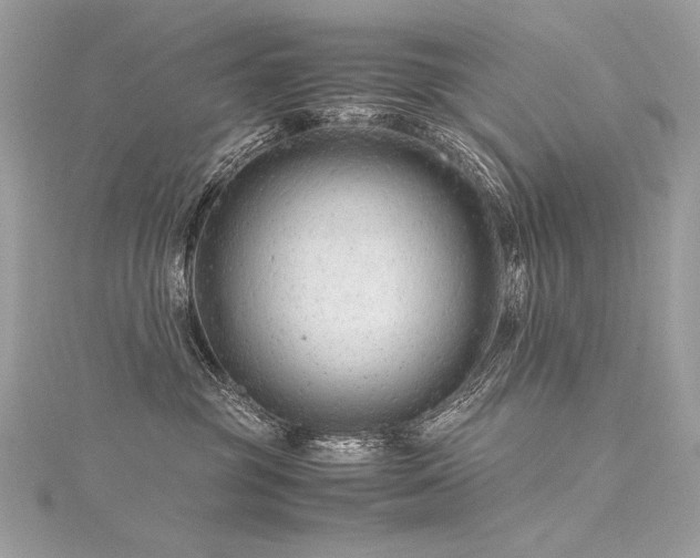 X0000116310381200911301508