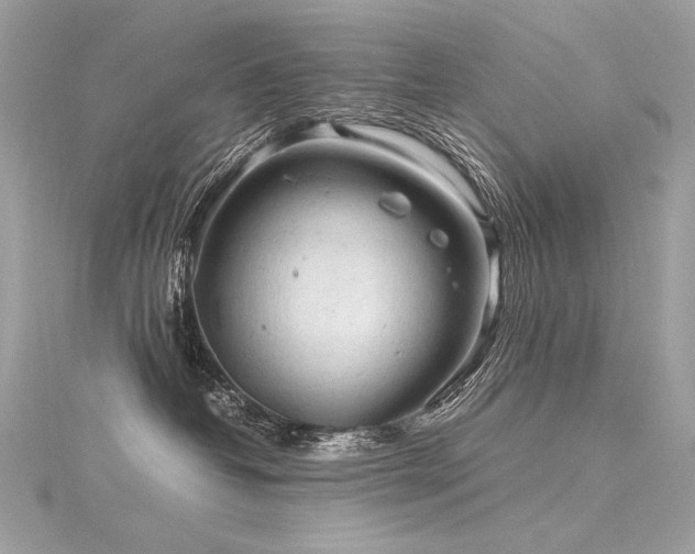 X0000116310382200911301508