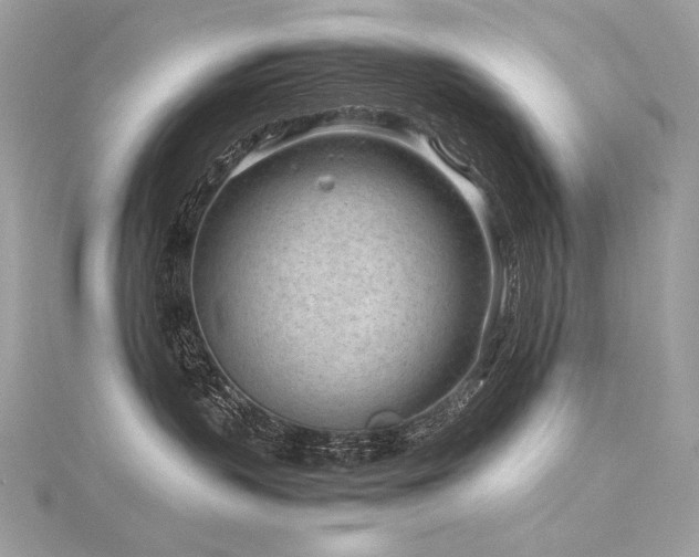 X0000116310383200911301508