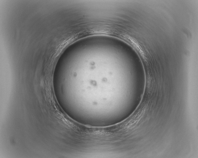 X0000116310385200911301507