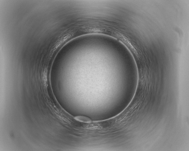 X0000116310386200911301507