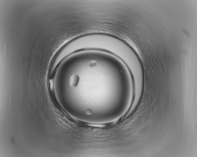 X0000116310387200911301507