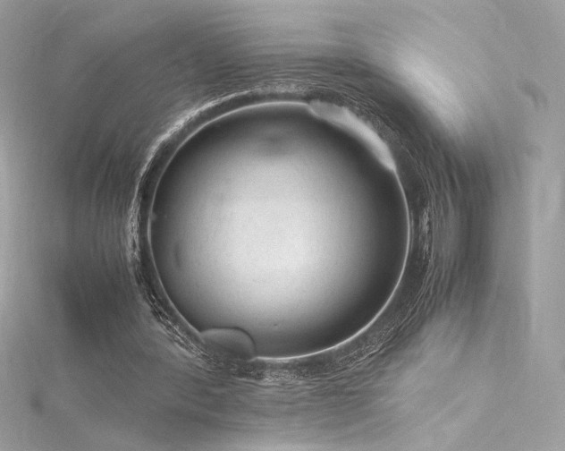 X0000116310388200911301507