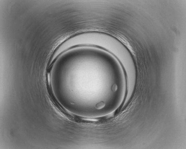 X0000116310389200911301507