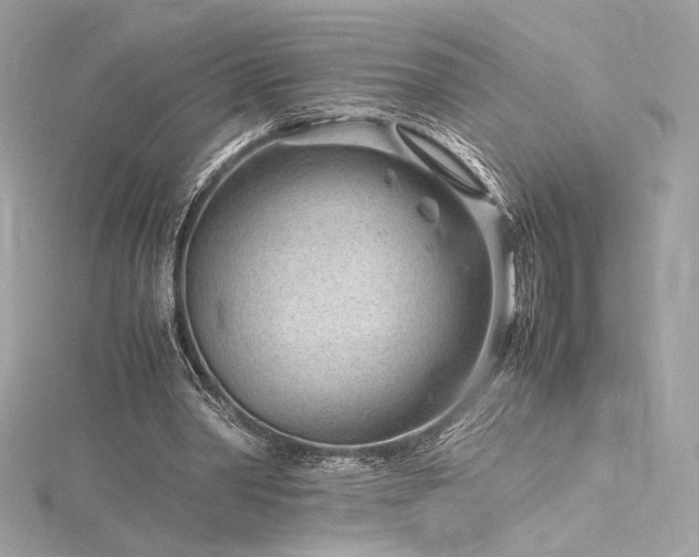 X0000116310390200911301507