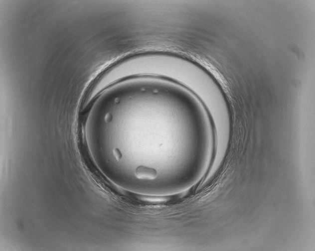 X0000116310391200911301507