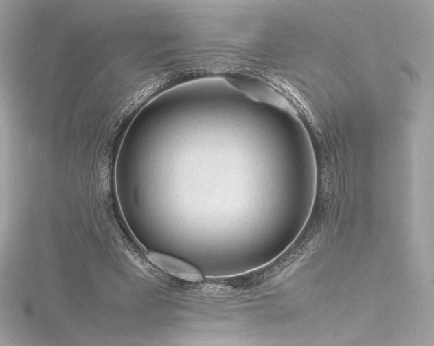 X0000116310393200911301507