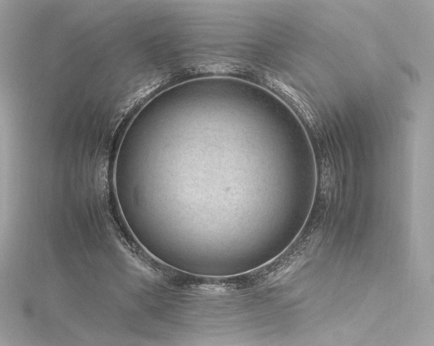 X0000116310394200911301507