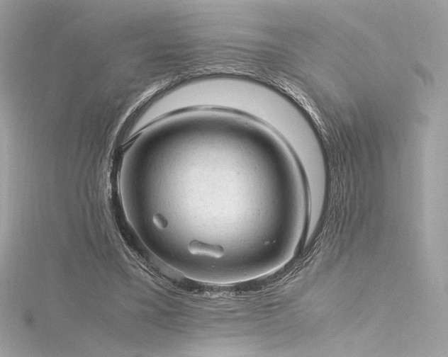 X0000116310395200911301507