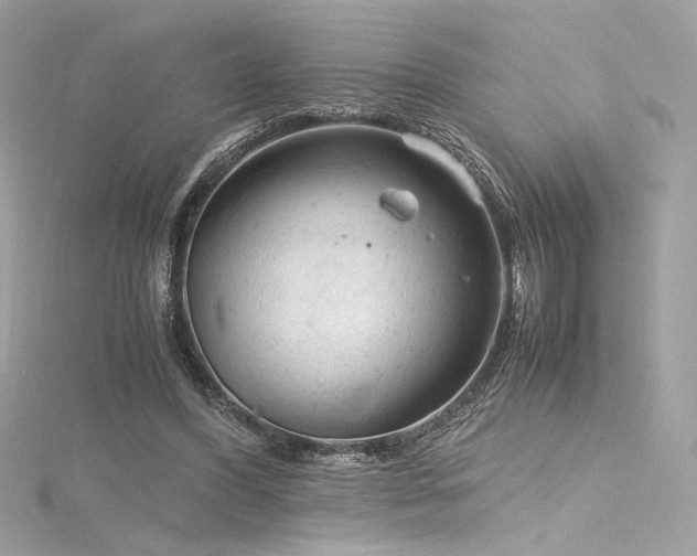 X0000116310396200911301507